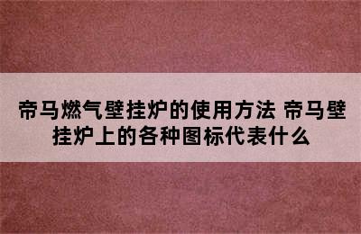 帝马燃气壁挂炉的使用方法 帝马壁挂炉上的各种图标代表什么